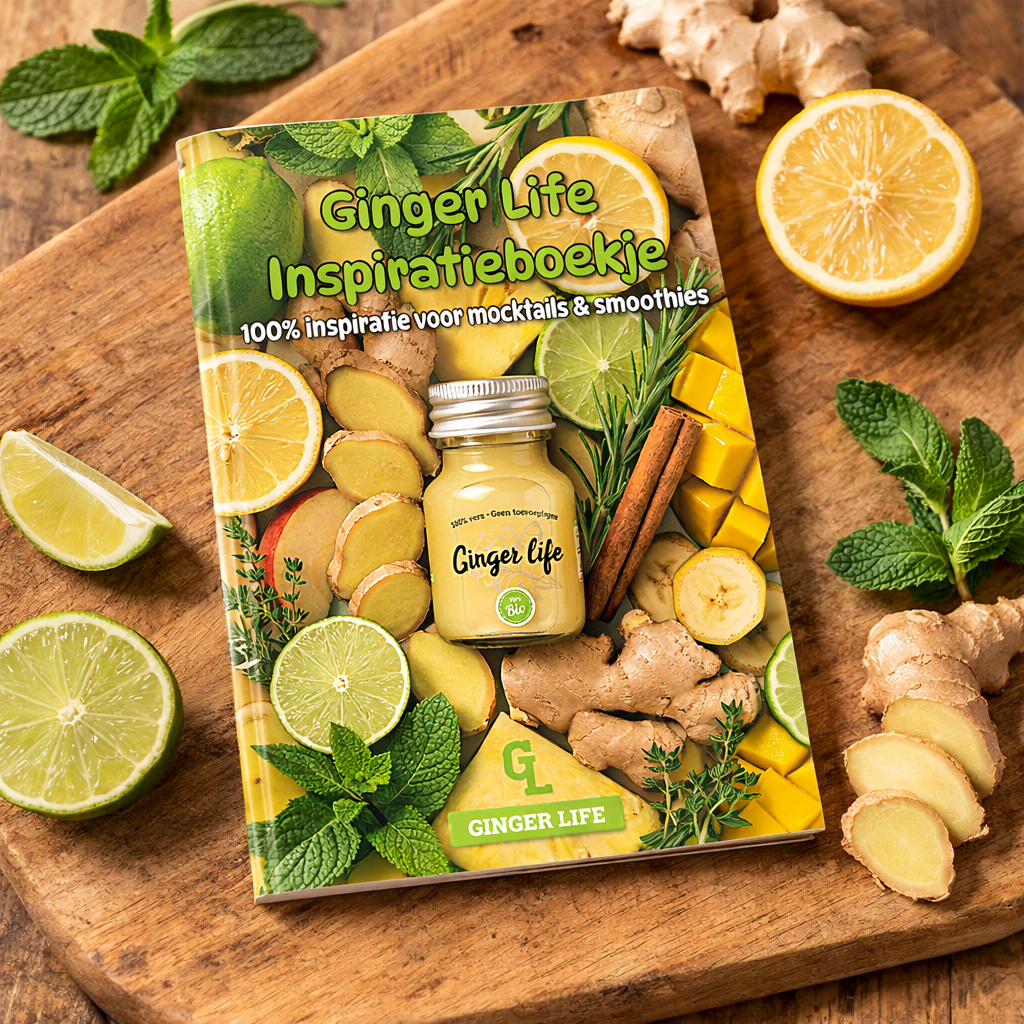 Ginger Life Inspiratieboekje - Meer uit je gembersap
